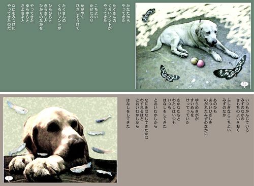 2005絵本2.jpg