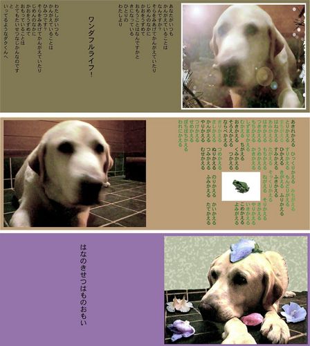 2005絵本３.jpg